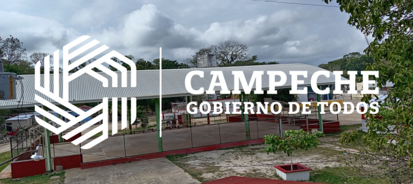 Conectividad para Todos