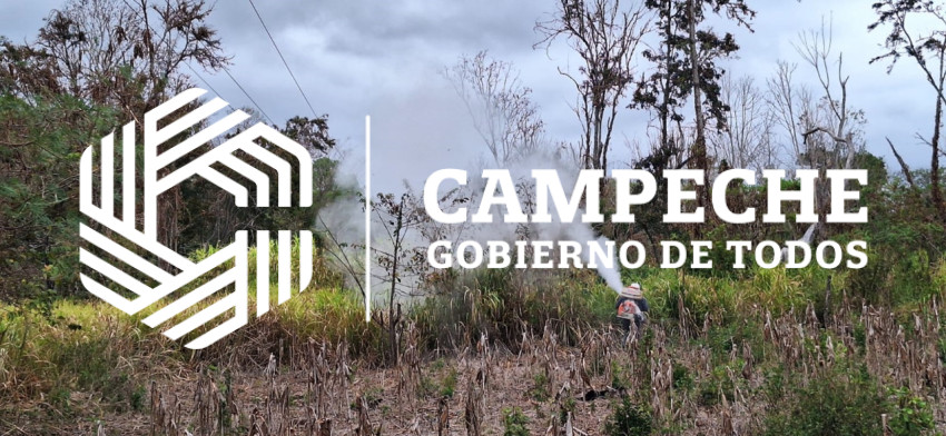 Campaña contra la langosta