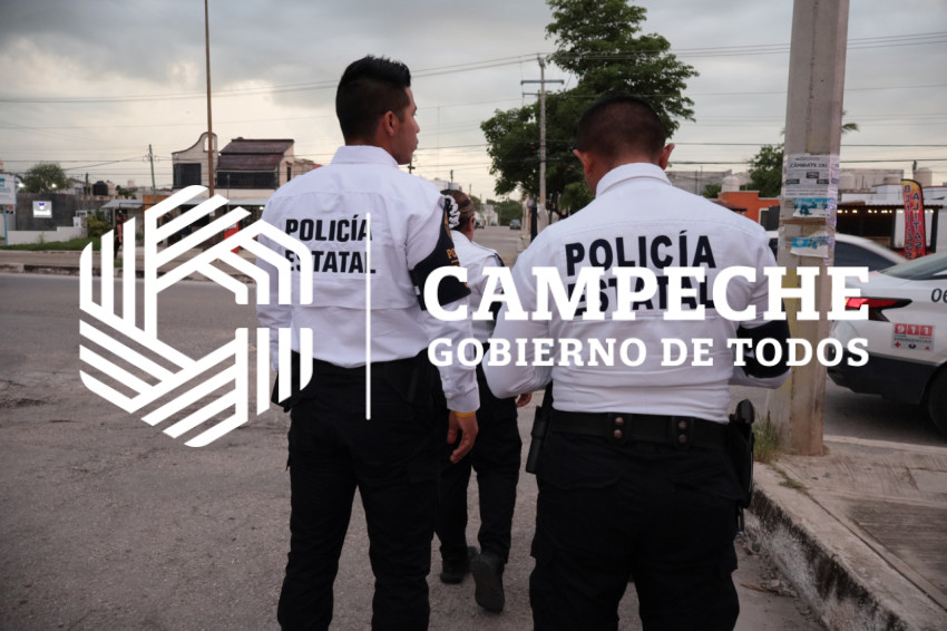 PPA 0203 11 Código Jaguar