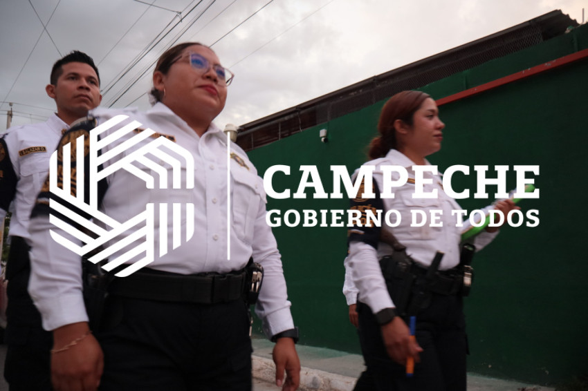 PPA 0203 12 Código Jaguar