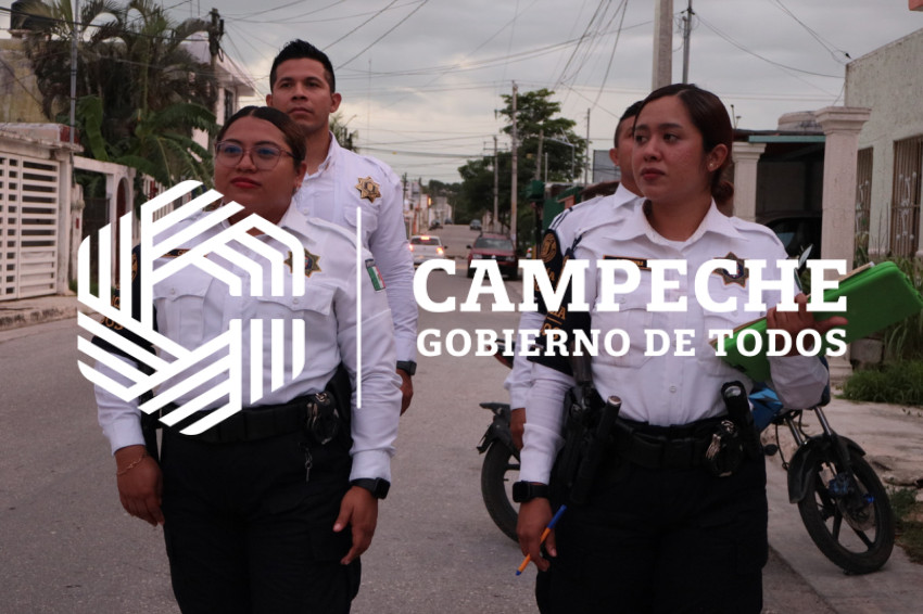 PPA 0203 14 Código Jaguar