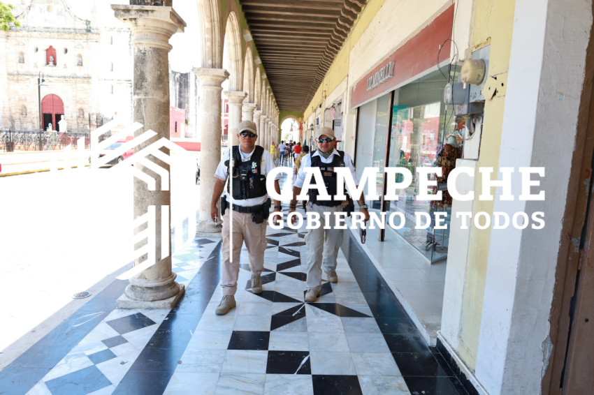 PPA 0203 01 Código Jaguar