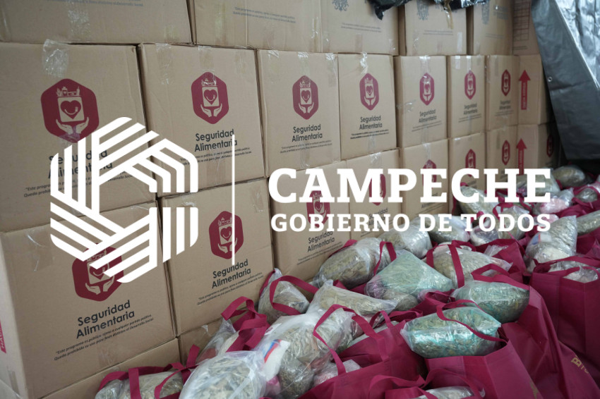 SEGURIDAD ALIMENTARIA DESPENSAS