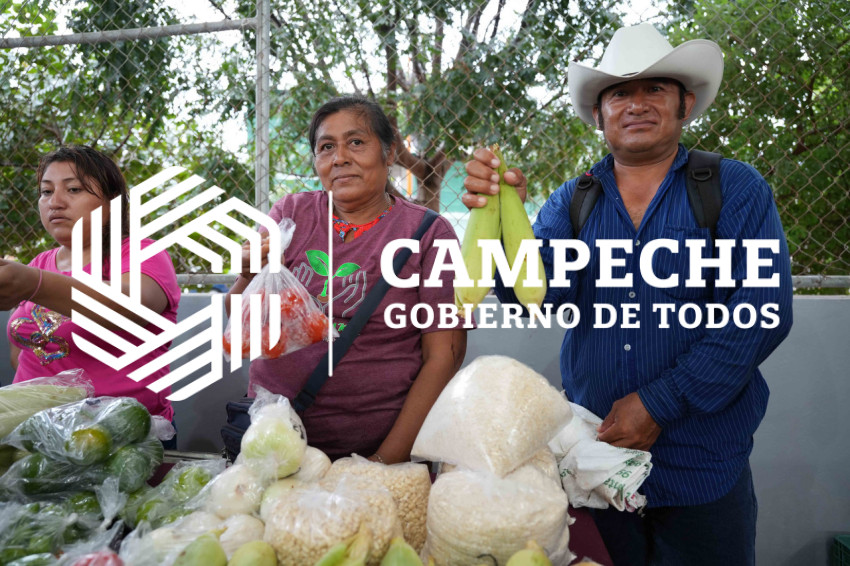 SEGURIDAD ALIMENTARIA CHAMPOTON