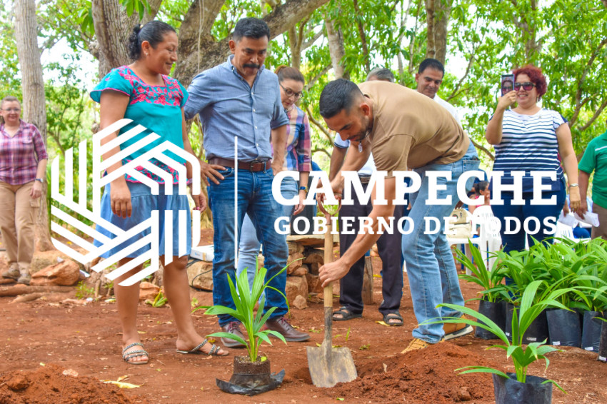 ENTREGA DE APOYO PARA LA SIEMBRA DE JIPI JAPA