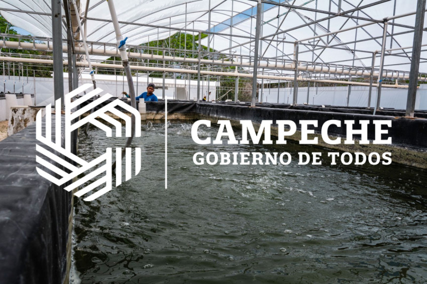 Producción Acuícola