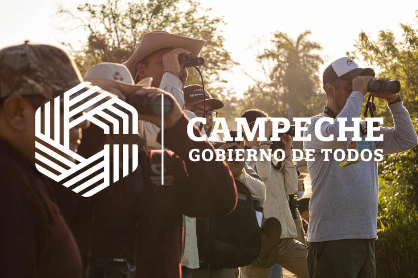 PPA-1001 Observación de Aves