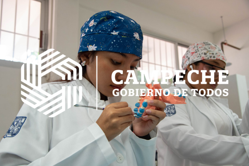 Matrícula Educación Superior