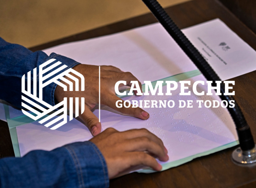 Jornada Discapacidad visual