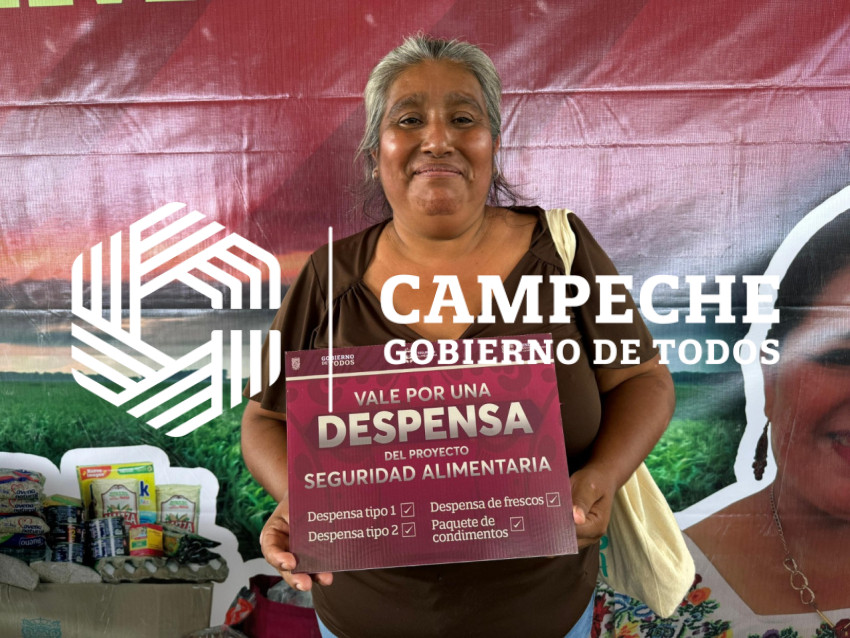 SEGURIDAD ALIMENTARIA DESPENSAS