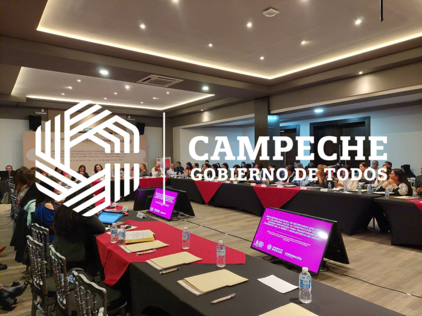 WhatsApp Image 2024 08 15 at 15 25 17