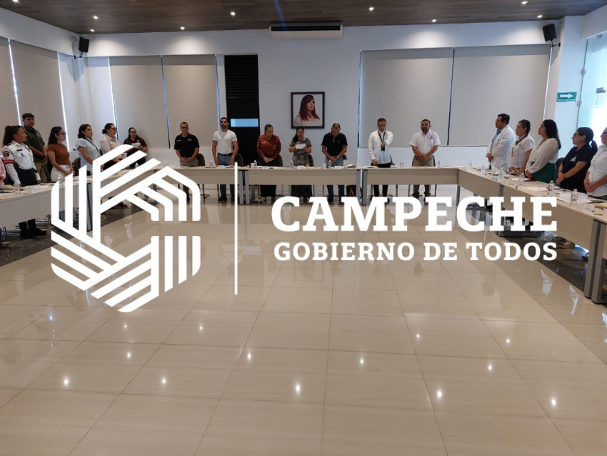 Comisión para Prev. Suicidio NNA