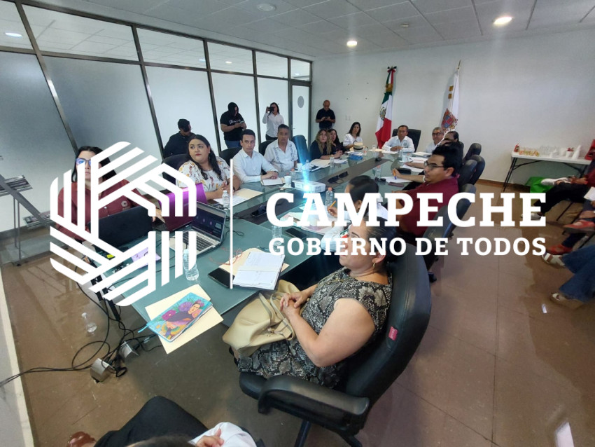 Sesión del Sistema de Justicia para Adolescentes