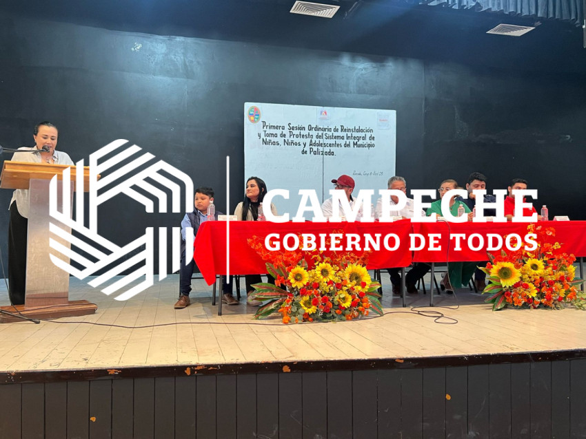 Reinstalación SIPINNA Palizada