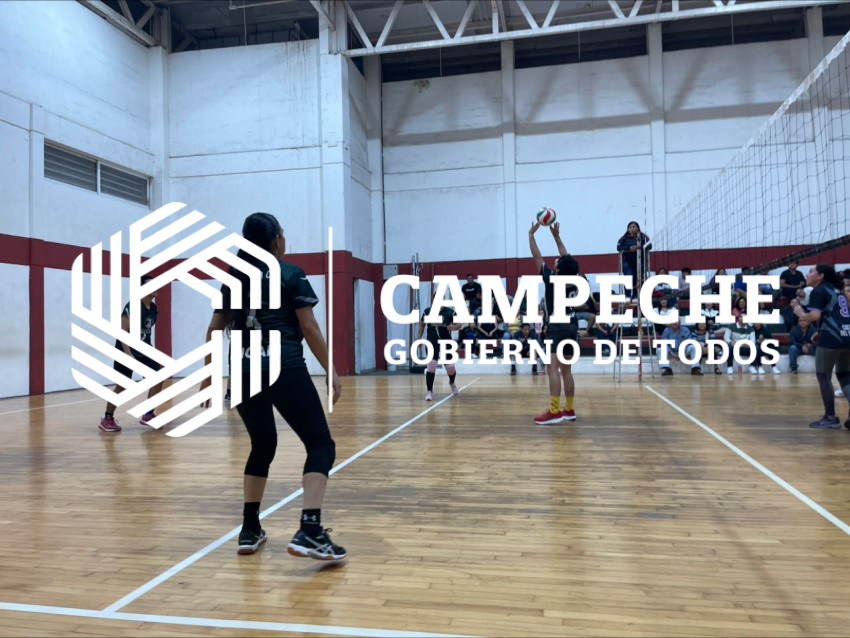 interdependencias voli (8)