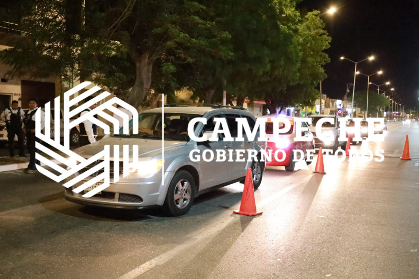 PPA 0227 06 Filtros alcoholemia