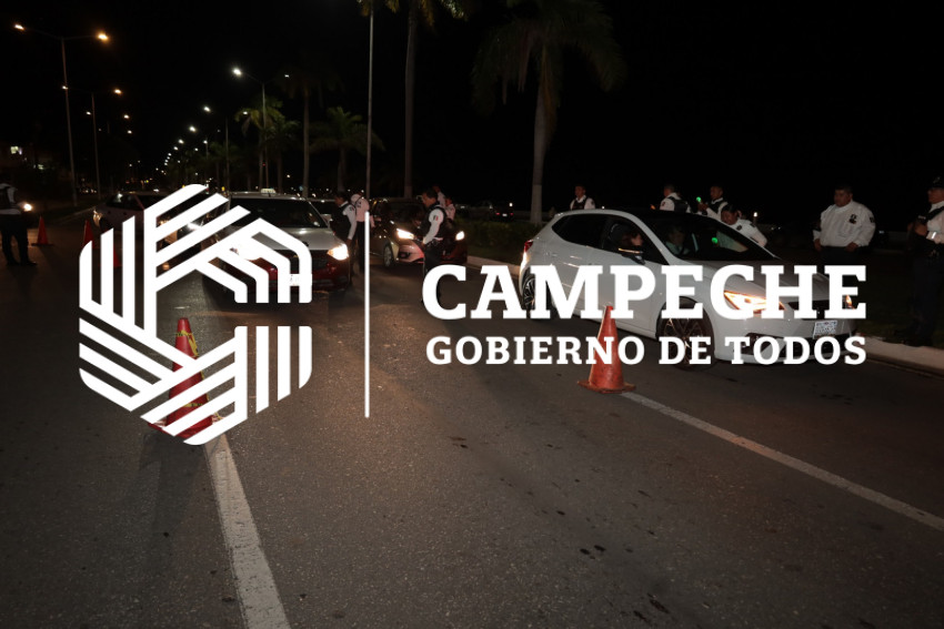 PPA 0227 10 Filtros alcoholemia