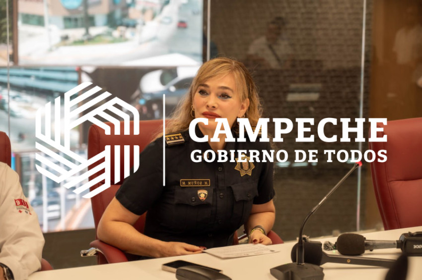 PPA 0249 PresentacionMedios03 08may2025