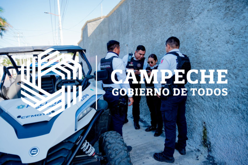 PPA 0236 10 Supervisión Actuación