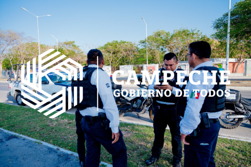 PPA 0236 12 Supervisión Actuación