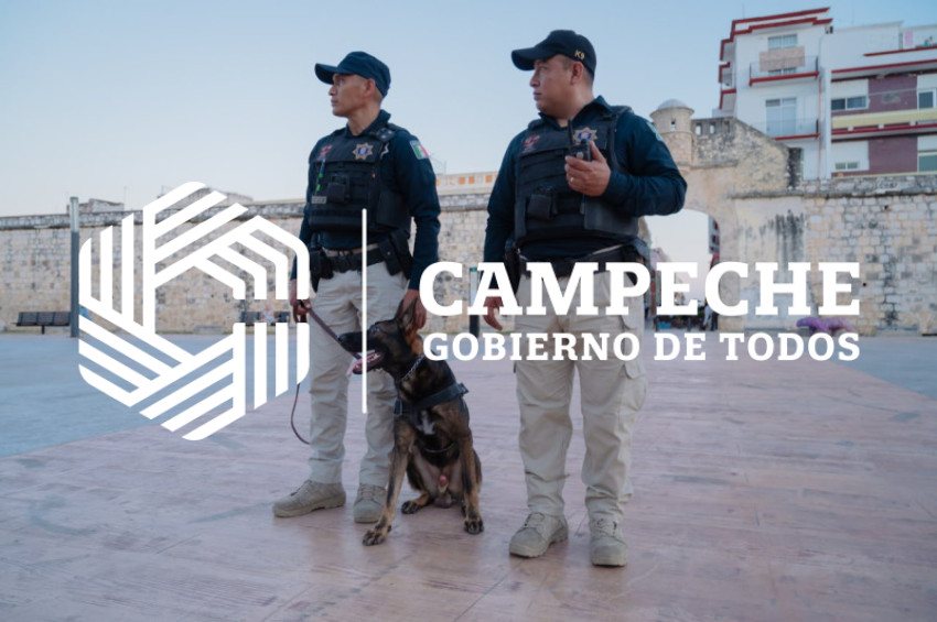 PPA 0226 01 Pie tierra K9