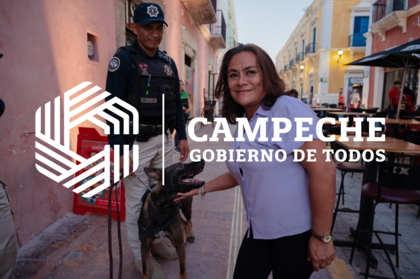 PPA 0226 02 Pie tierra K9