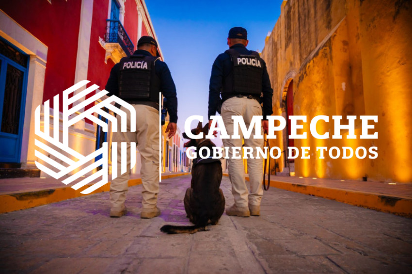 PPA 0226 03 Pie tierra K9