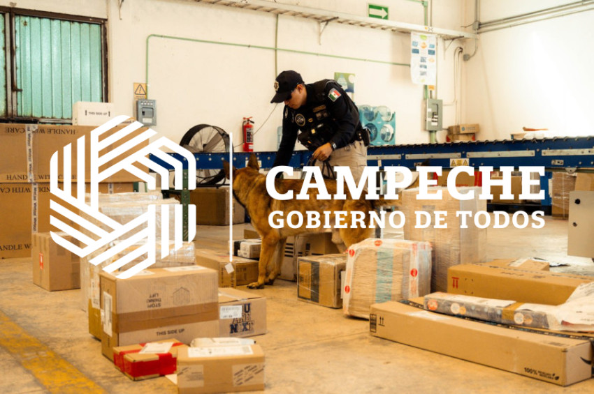 PPA 0225 01 Visitas paqueterias K9