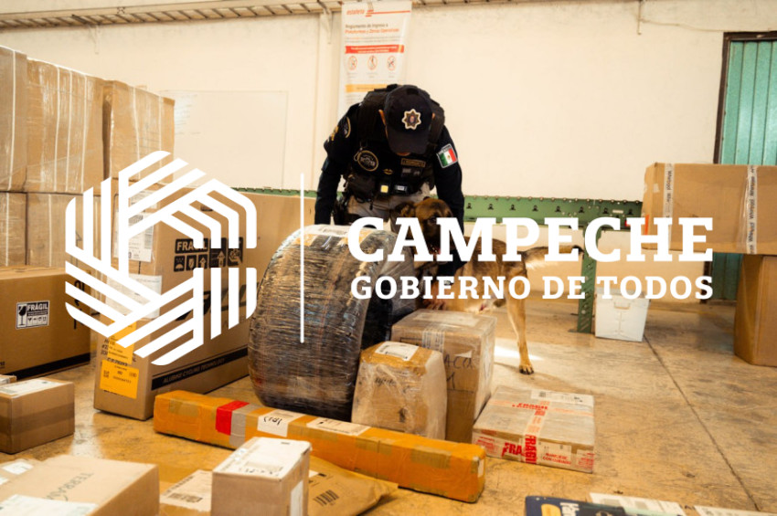 PPA 0225 02 Visitas paqueterias K9