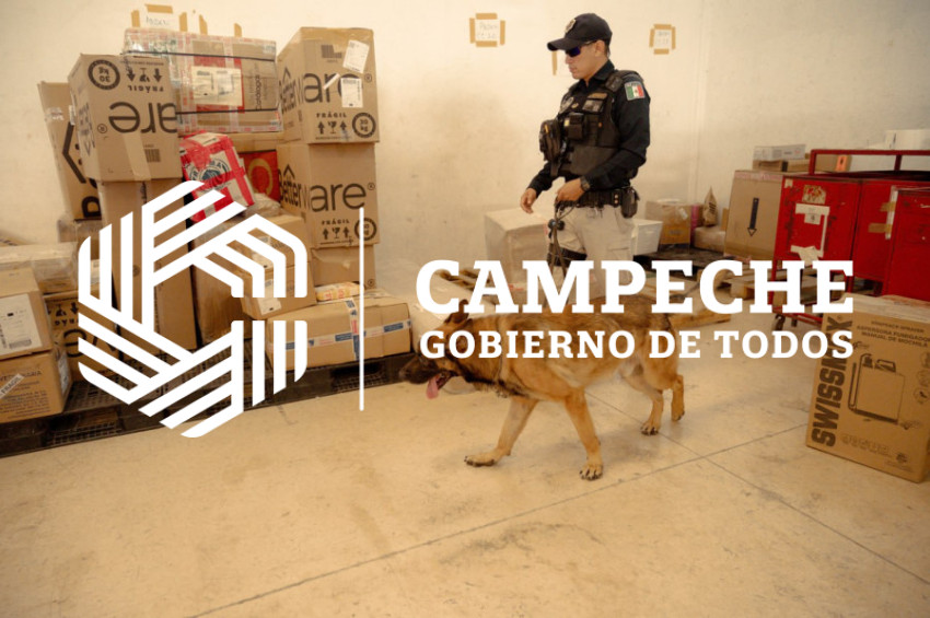 PPA 0225 03 Visitas paqueterias K9