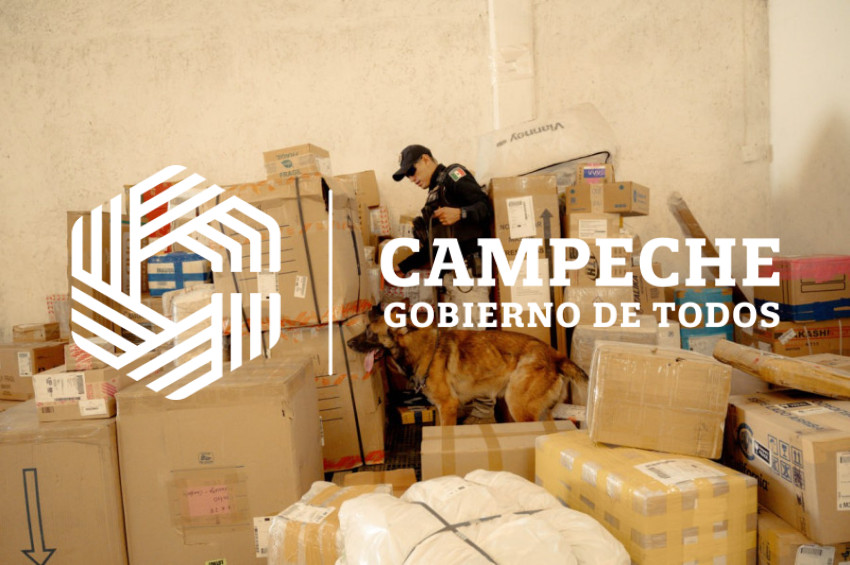 PPA 0225 04 Visitas paqueterias K9