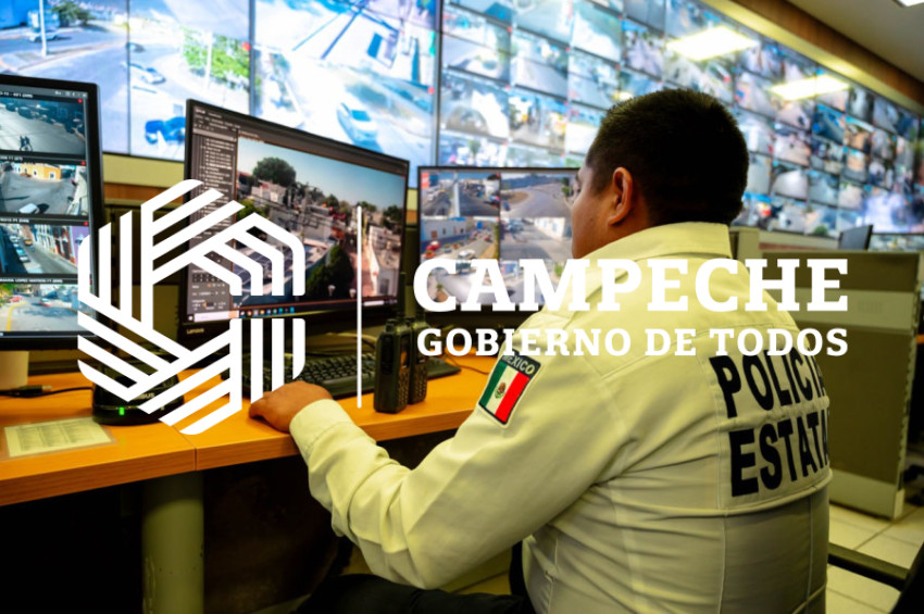 PPA 0244 02 Puntos monitoreo videovigilancia