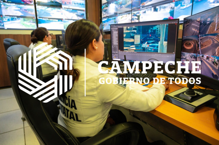 PPA 0244 04 Puntos monitoreo videovigilancia