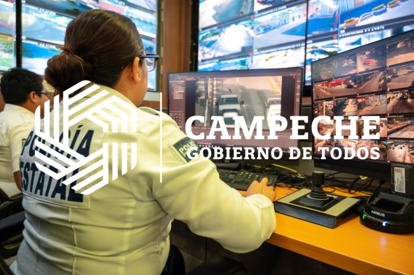 PPA 0244 05 Puntos monitoreo videovigilancia