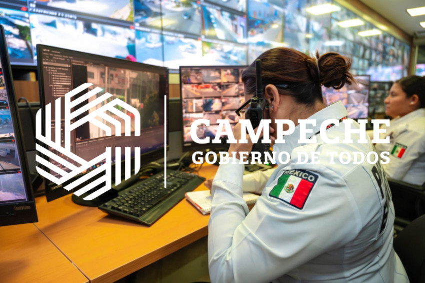 PPA 0244 07 Puntos monitoreo videovigilancia