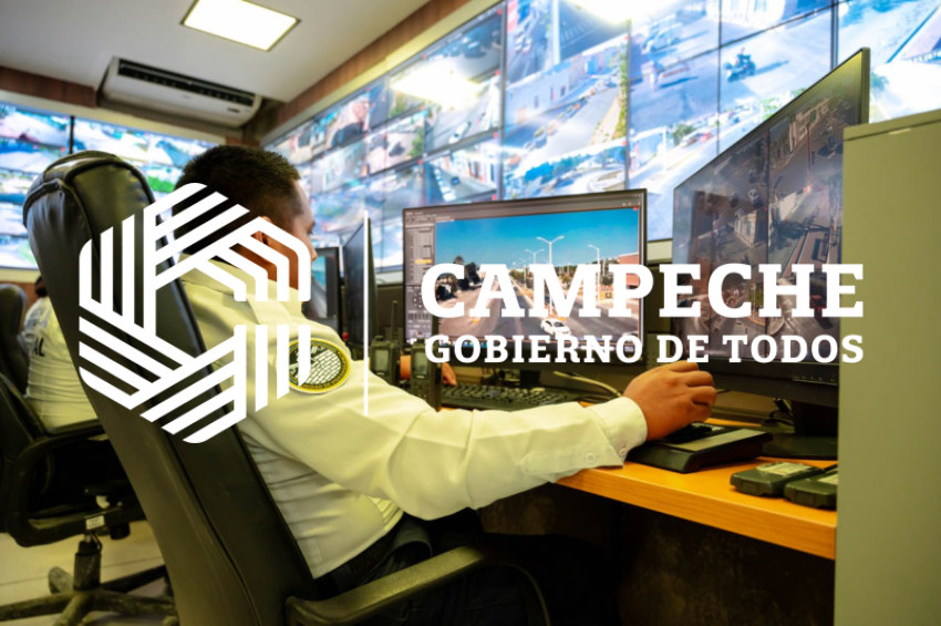 PPA 0244 08 Puntos monitoreo videovigilancia