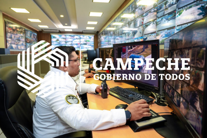 PPA 0244 11 Puntos monitoreo videovigilancia