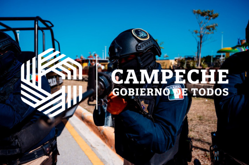 PPA 1255 12 Unidad Reacción Inmediata