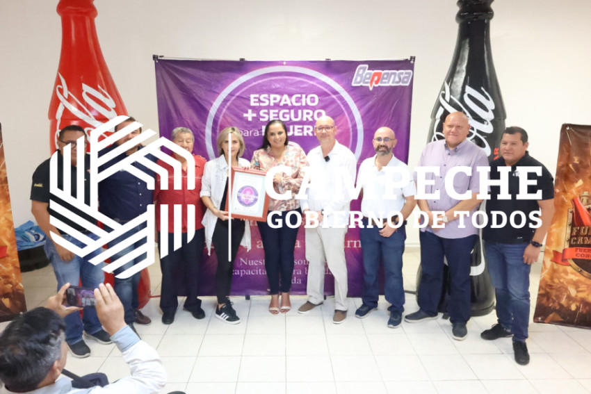 Distintivo morado (3)