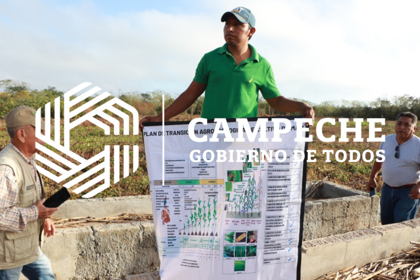 extensionismo agropecuario