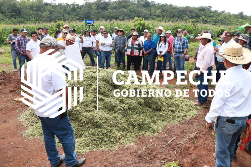 extensionismo agropecuario 1