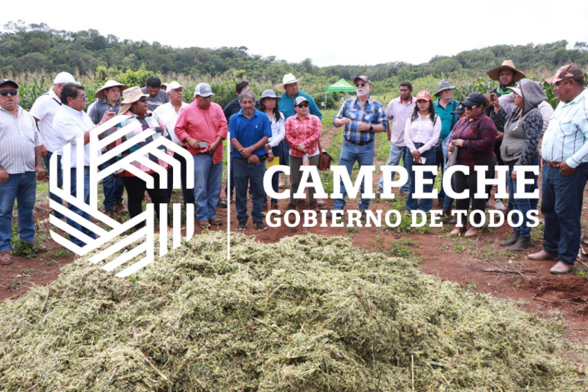 extensionismo agropecuario 2