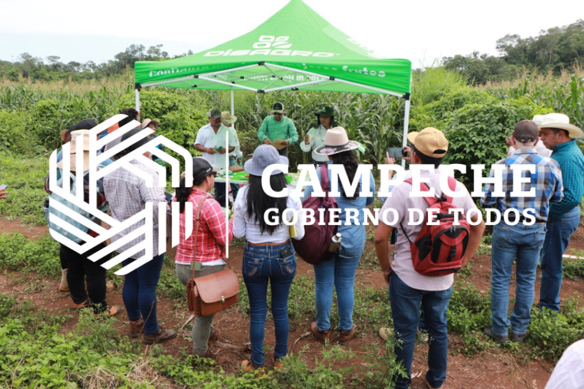 extensionismo agropecuario 3