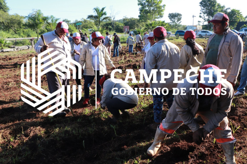 extensionismo agropecuario 4