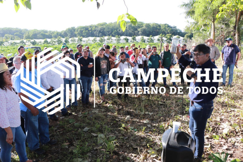 extensionismo agropecuario 5