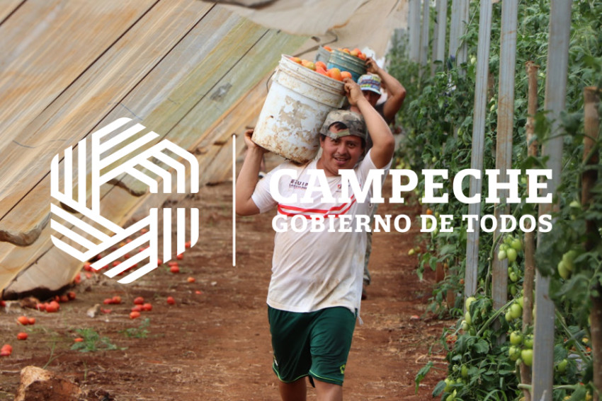 Seguro de Vida Agropecuario