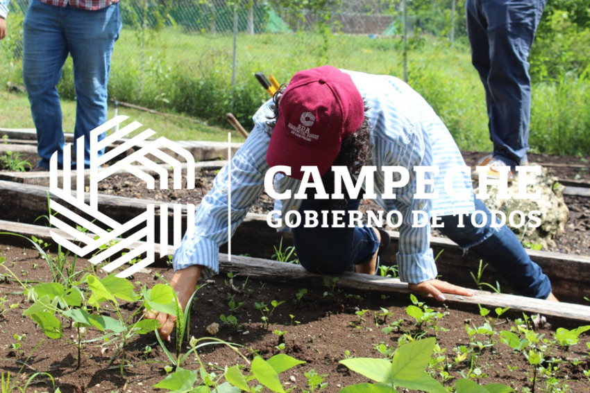 Huertos familiares 2