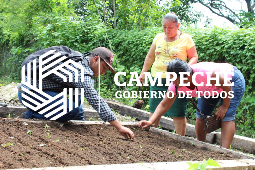 Huertos familiares 3