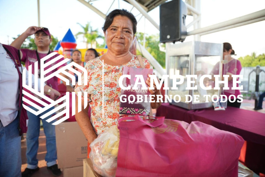 SEGURIDAD ALIMENTARIA DESPENSAS