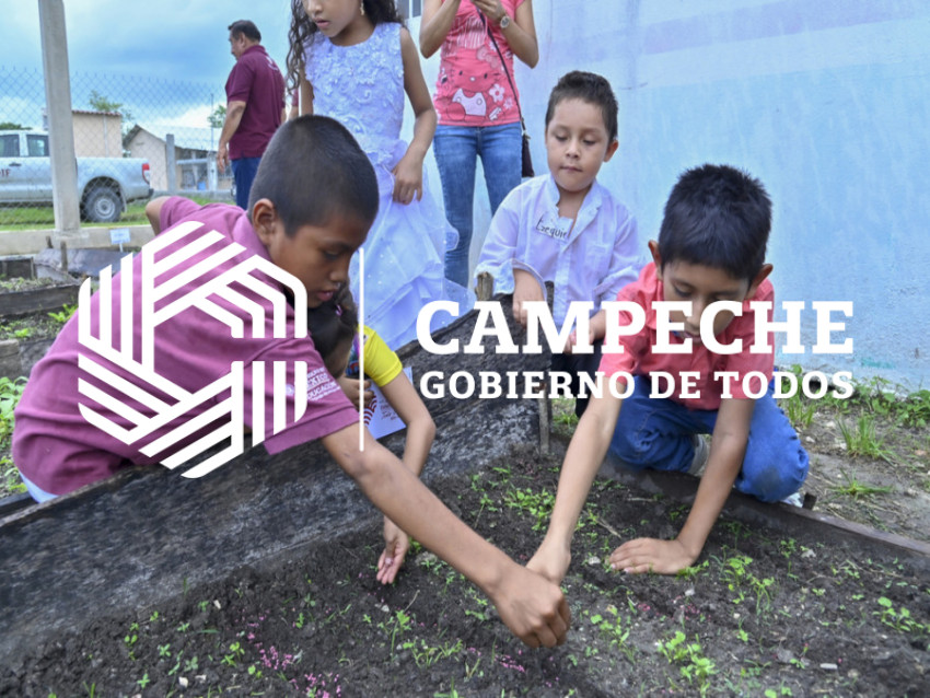 Instalación de Huertos Escolares 1